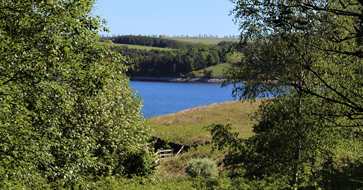 View from Pow Hill Countryside Park of Derwent Reservoir 